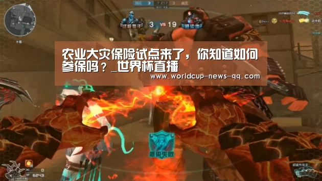 世界杯直播