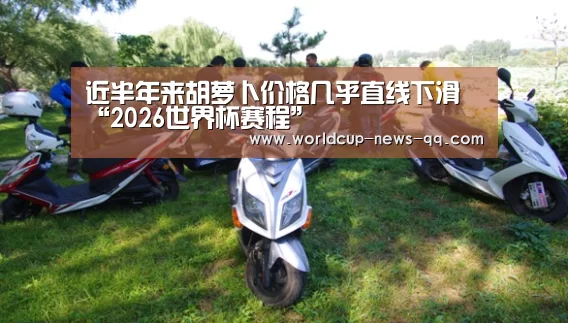 近半年来胡萝卜价格几乎直线下滑“2026世界杯赛程”(图1) 世界杯直播