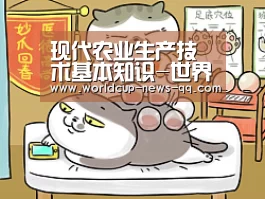 2026世界杯赛程