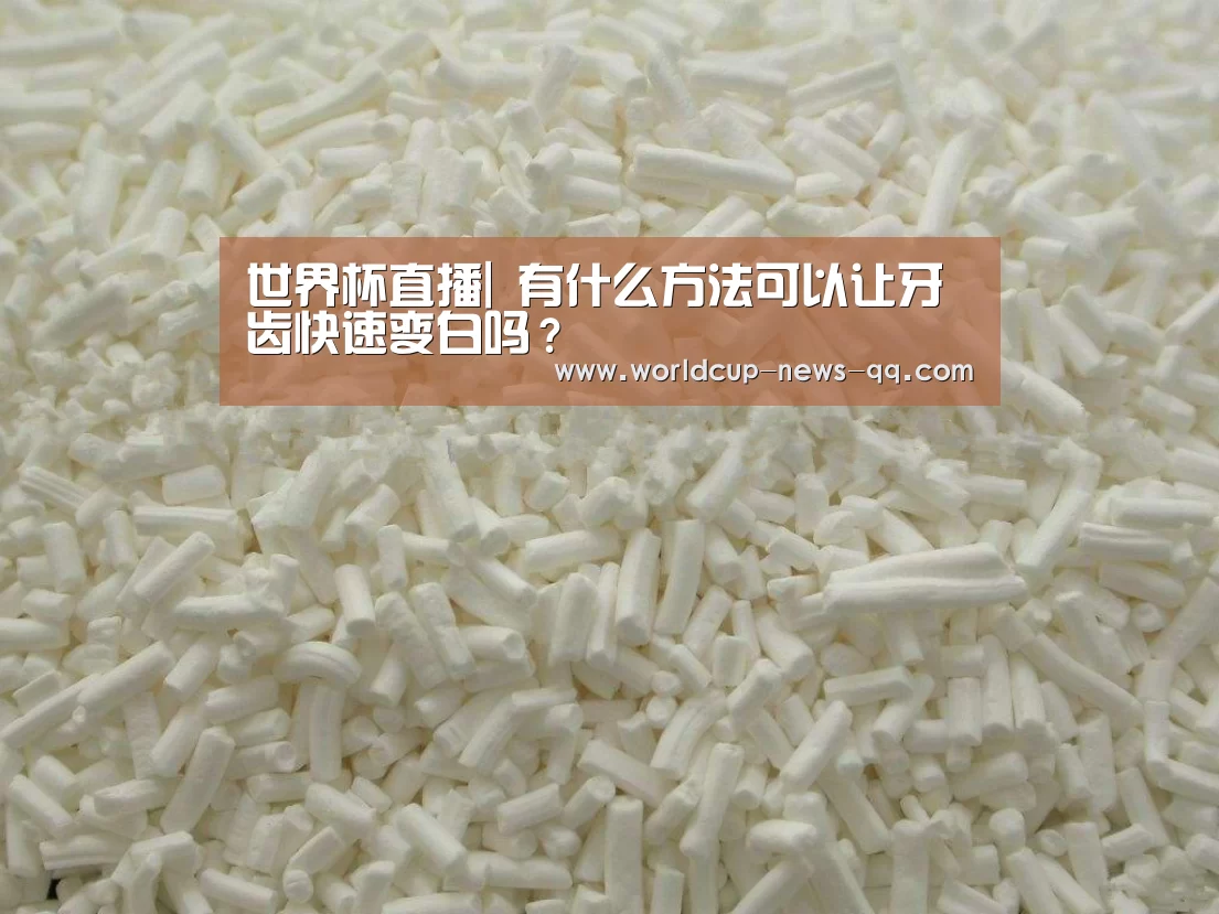 2026世界杯赛程