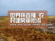 世界杯直播