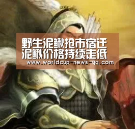 野生泥鳅抢市宿迁泥鳅价格持续走低-世界杯直播(图2) 2026世界杯赛程