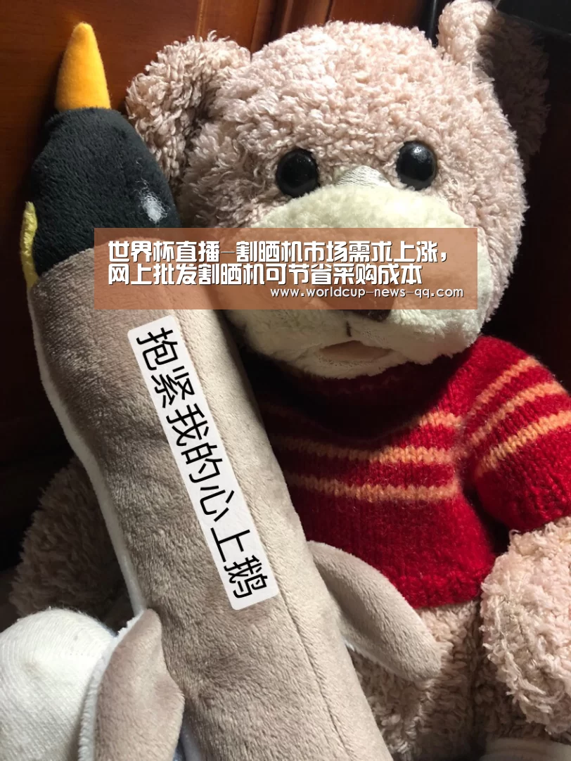 2026世界杯赛程