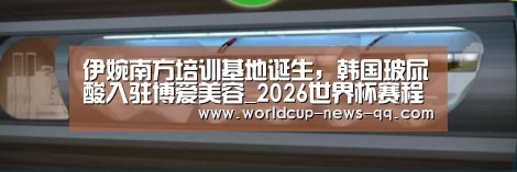 世界杯直播
