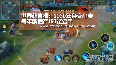 世界杯直播:2030年杂交小麦每年或增产150亿公斤(图2) 世界杯直播