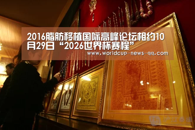 2016脂肪移植国际高峰论坛相约10月29日“2026世界杯赛程”(图4) 世界杯直播
