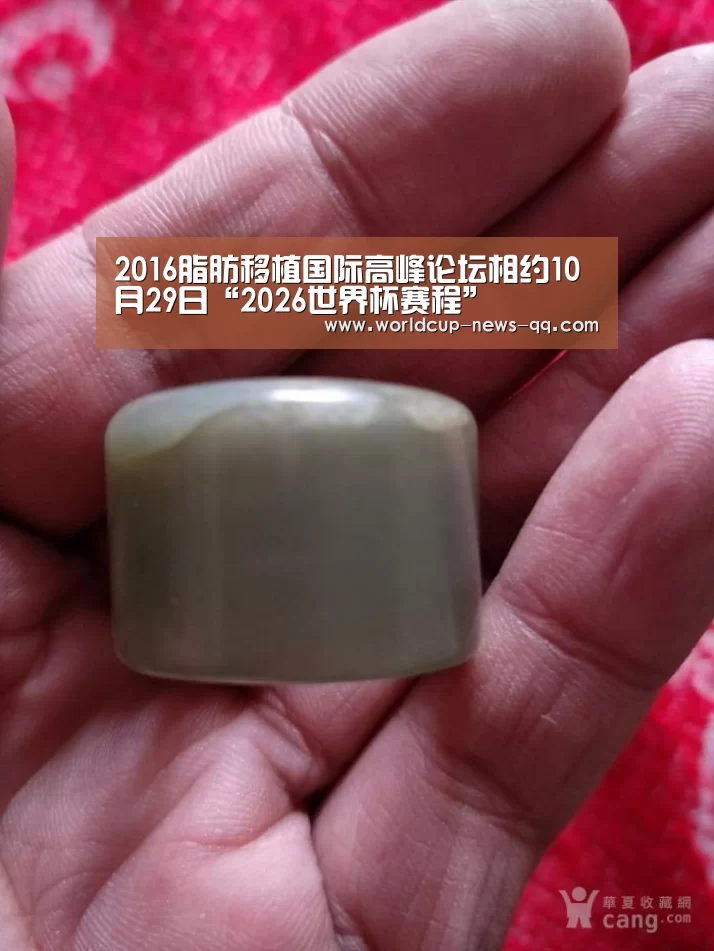 2016脂肪移植国际高峰论坛相约10月29日“2026世界杯赛程”(图3) 2026世界杯赛程