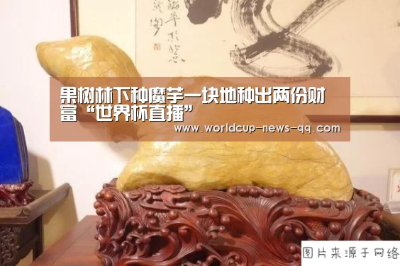 果树林下种魔芋一块地种出两份财富“世界杯直播”(图1) 世界杯直播