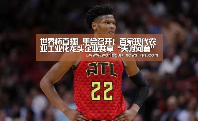 2026世界杯赛程
