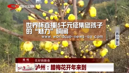 世界杯直播|5千元征集您孩子的“魅力”瞬间(图1) 世界杯直播