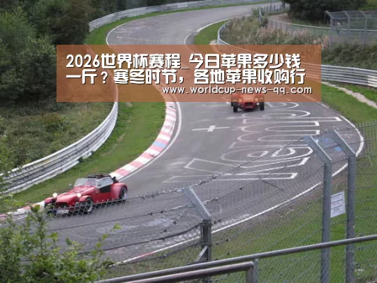 2026世界杯赛程_今日苹果多少钱一斤?寒冬时节,各地苹果收购行情如何?(图2) 世界杯直播
