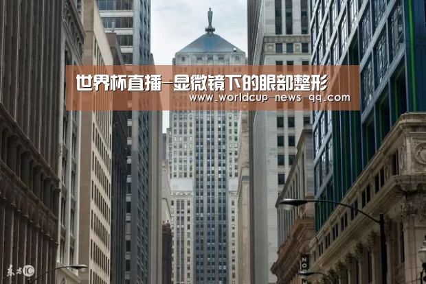世界杯直播
