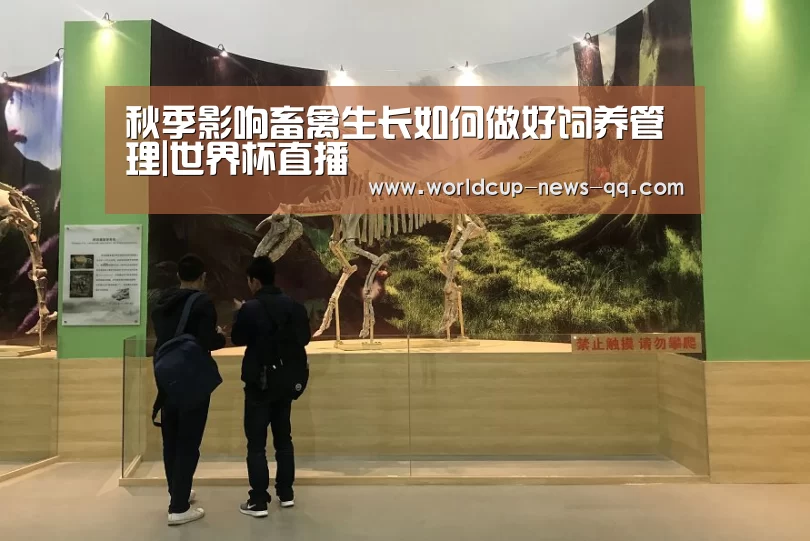秋季影响畜禽生长如何做好饲养管理|世界杯直播(图1) 世界杯直播