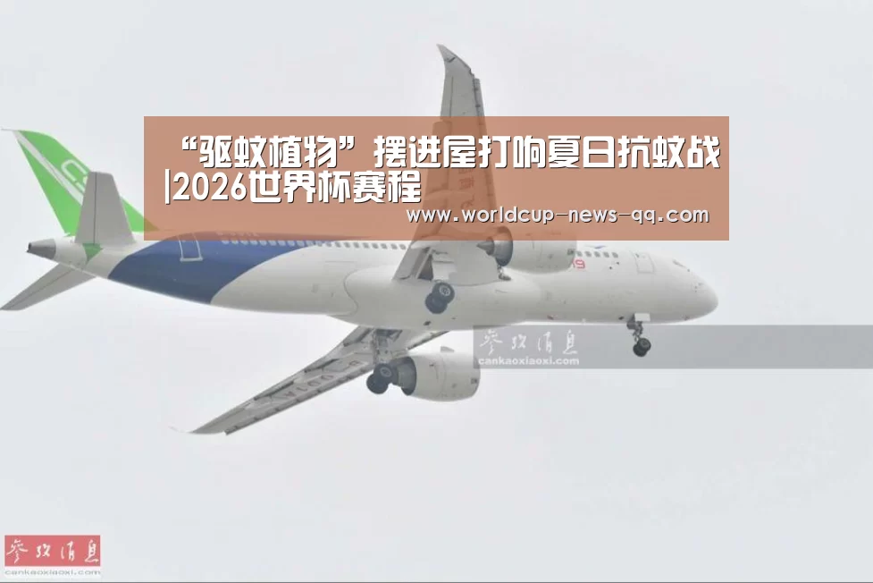 “驱蚊植物”摆进屋打响夏日抗蚊战|2026世界杯赛程(图1) 2026世界杯赛程